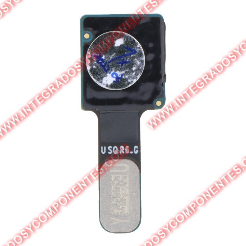 Camara Frontal Para Samsung Galaxy S21 5g/S21+ 5g G996 G9910/G991u/G9960/G996u Version Ee.Uu Calidad Premium